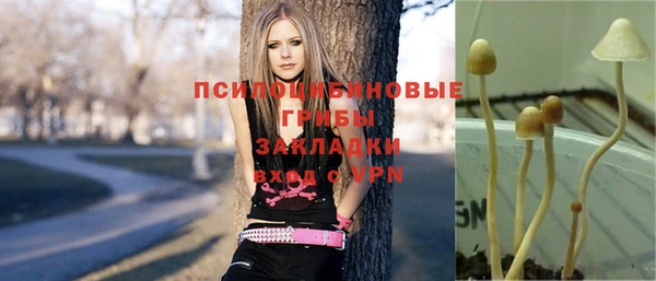 твердый Балабаново