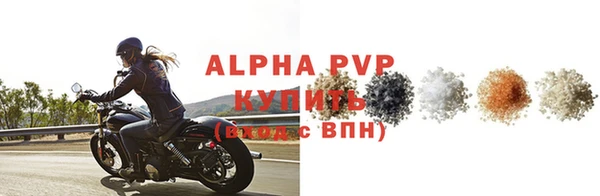 крисы Баксан