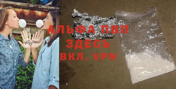 ПСИЛОЦИБИНОВЫЕ ГРИБЫ Белокуриха
