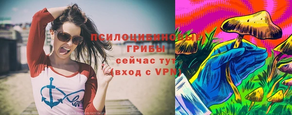 крисы Баксан