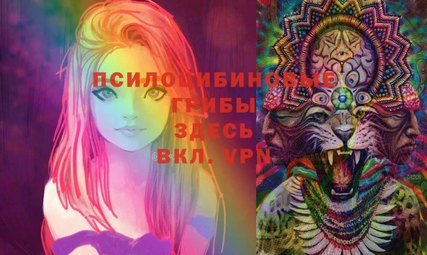 крисы Баксан