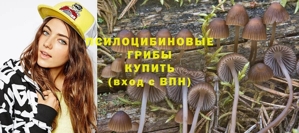 PSILOCYBIN Навашино