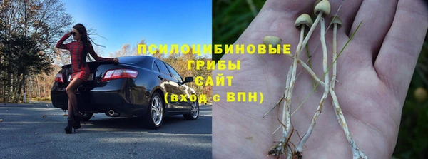 крисы Баксан