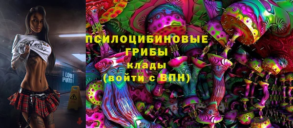 гашиш Гусь-Хрустальный